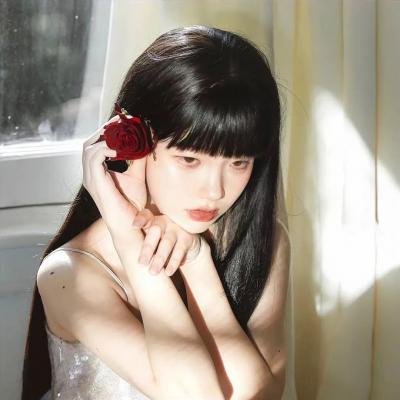 网美嬉游记 海报