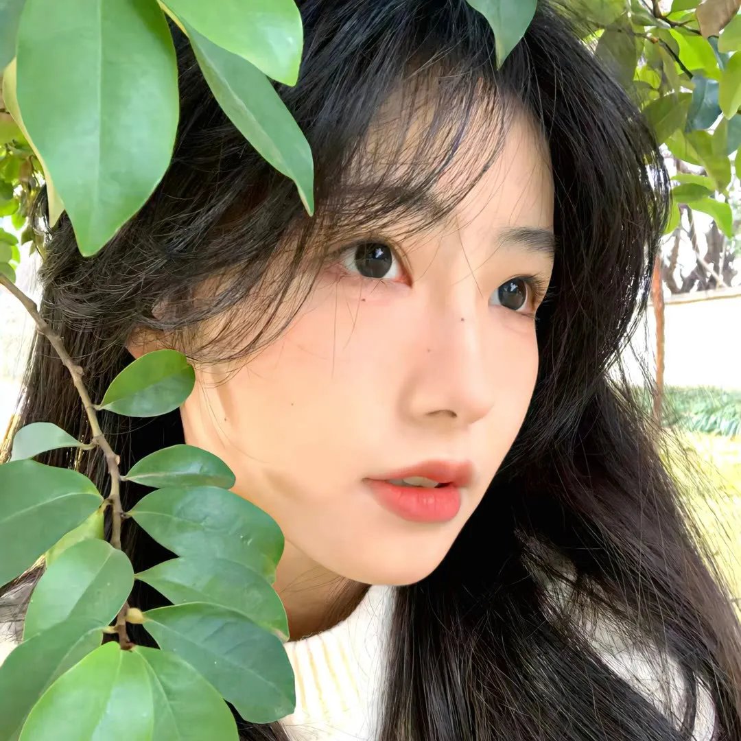子非鱼 海报